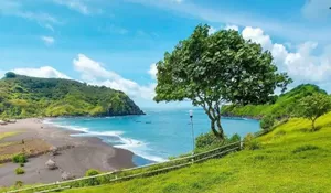 Harga Masuknya Cuma Rp 10 Ribu Aja Nih Guys, Yuk Nikmati Pemandangan Laut Biru dan Sunset Menawan dari Atas Bukit Samboja Jember