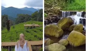 Bayar Rp5 Ribu Tinggal Bawa Diri Aja, Piknik Sambil Ngaliwet di Hidden Gem Sumedang, Wisata Kebun Teh Air Terjun dan Danau Jadi Satu
