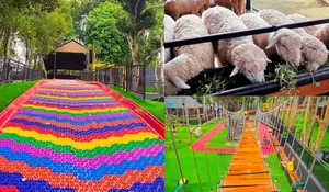 Kuy Cobain The Nice Park, Spot Wisata Baru di Bandung yang Ramah Keluarga, Ada Mini Zoo, Playground, hingga Foodcourt, HTM Cuma Rp30 Ribu!