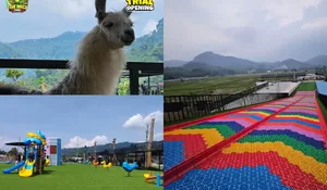Mumpung Tiket Masuknya Masih Murah dan Wahananya Free! Kuy Liburan ke The Nice Park Rumpin Bogor, Ada Mini Zoo Playground yang Luas dan Resto