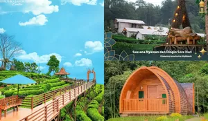 Yakin Liburan di Rumah Aja? Kuy Cosplay Staycation Ala Ridwan Kamil di Asstro Highland, Cuma Rp2 Jutaan BisaHealing Paripurna Viewnya Super Cakep!