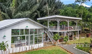 Sensasi Ngopi di Pinggir Sungai Bisa Kamu Rasakan di 8 Info Spot Healing Sentul,  Bisa Foto Instagramable, Tempat Nongkrong hingga Kulineran!