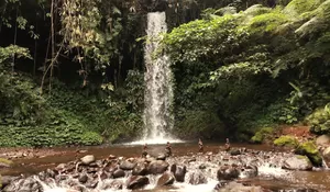 Murah! Cuma Rp10 Ribu Aja Bisa Nikmati Keindahan Curug Pemandian Tuan yang Memukau di Subang, Kuy Habiskan Libur Panjang Bersama Keluarga di Sini!