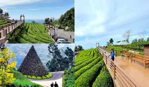 Subang Rasa Swiss, Ternyata Ada Tempat Glamping Mewah Harga Murah Dengan View Cantik Se-Estetik Ini Loh di Jawa Barat