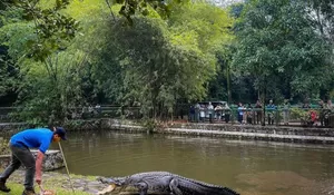 Kebun Binatang Ragunan Tetap Buka Selama Libur Iduladha dan Cuti Bersama, Cek Jam Buka dan Harga Tiket Masuknya di Sini!