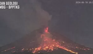Gunung Merapi Semburkan Awan Panas Sejauh 1,5 Kilometer, Masyarakat Diimbau Menjauh!