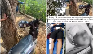 Carut Marut Pelayanan Kesehatan, Pengendara Motor Tertimpa Pohon Tumbang di Jalan Raya Bogor Sulit Dapatkan Akses