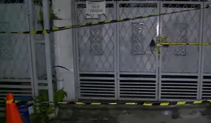 Ibu Pelaku Penusukan Oleh Remaja 14 Tahun di Lebak Bulus Sadar, Minta Amankan Hewan Peliharaan di TKP