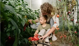 Latih Motorik Hingga Bangun Kemistri, Ini 7 Manfaat Ajak Anak Berkebun Sedari Kecil