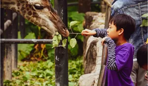 Tak Sekadar Liburan, Ini 5 Manfaat Mengunjungi Kebun Binatang Bersama Anak yang Wajib Ayah Bunda Tahu!