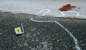 Misteri Kasus Penculikan dan Pembunuhan Kepala Cabang Bank BUMN, Ditemukan Tewas di Sawah