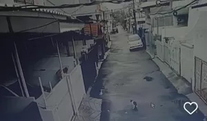 Pelaku Tersangka Penembak Kucing Timmy di Kelapa Gading Tidak Ditahan Polisi, Kenapa?