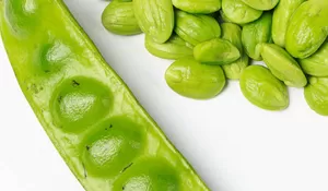 Dokter Ungkap Konsumsi Petai Bisa Turunkan Gula Darah, Berikut Sederet Manfaat Petai yang Baik Bagi Kesehatan!