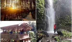 Jelajahi Keindahan Tujuh Bidadari Jember, Surga Tersembunyi yang Sajikan Kesejukan Alam dengan Pemandangan Mempesona