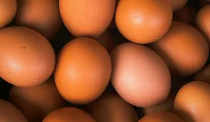 Buibu Yuk Simak! Begini Rahasia agar Telur Tak Gampang Busuk, Ternyata Harus Disimpan dengan Posisi Ini