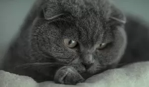 Ternyata Ini 5 Alasan Mengapa Kita Mudah Overthinking dan Merasa Cemas di Malam Hari