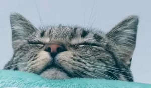 Sering Overthinking Setelah Chat Nggak Dibalas? Ini Tanda dan Cara Mengatasi Masalah Overthinking