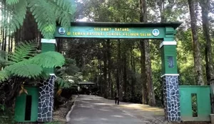 Kepingin Healing Sat-set saat Weekend? 5 Spot Wisata Dekat Stasiun Bogor Ini Wajib Jadi Bucketlist Kamu!