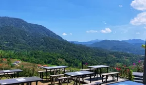 Jauh dari Hiruk Pikuk Perkotaan, Pemandangan Gunung Menir di Aruna Coffee Pamijahan Dijamin Bikin Betah Seharian!