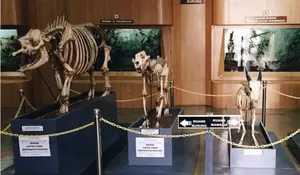 Dari Prasasti hingga Museum, Ini 5 Destinasi Wisata Sejarah di Bogor yang Wajib Dikunjungi