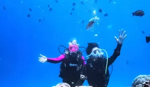 Mau Coba Snorkeling Di Pulau Seribu? Cek Disini 5 Spot Terbaik Untuk Snorkeling, Nomer 5 Terdapat Ikan-Ikan yang Lucu