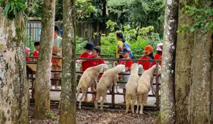 Bisa Berkebun hingga Memancing, Yuk Ajak Si Kecil Bermain di Kuntum Farmfield Bogor