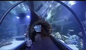 Mau Aquarium Date Bareng Pacar? BXSea Bintaro Bisa Jadi Solusinya