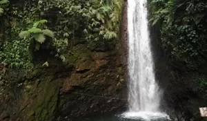 Curug Kondang: Surga Air Terjun Tenang di Tengah Alam Pamijahan Bogor