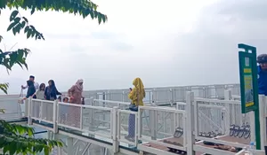 Bukan di Puncak! Wisata Jembatan Kaca Ini Ternyata Ada di Pamijahan Bogor