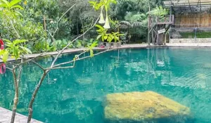 Camp Favorit Dekat Banyak Wisata, HTM 35 Ribu Sudah Termasuk Wisata Telaga Batu