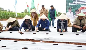 Bersama Poktan Biotani, Pemkab Bogor Perkuat Kendali Inflasi lewat Gerakan Tanam Cabai
