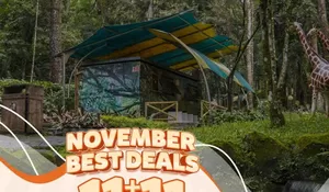Safari Resort Taman Safari Bogor Punya Promo Diskon Selama November, Yuk Cek!