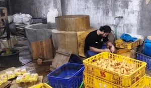 Indept News 2 : Pabrik Tahu di Depok Siapkan Sejumlah Varian tapi Bukan Olahan Isi Ikan atau Ayam 