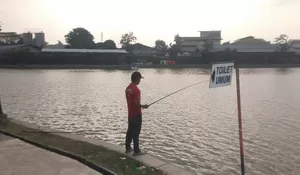 Kabar Gembira! Festival Perahu Naga Diselenggarakan di Rawa Kalong