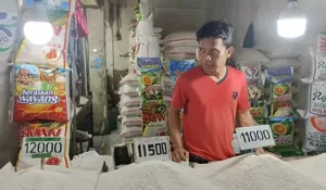 Bantuan Pangan Dinilai Mampu Tekan Inflasi, Tapi Harga Beras Tetap Naik