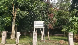 Mengulik Cagar Alam Depok Bagian 1 : Misteri Pemilik Sumur 7 yang Tak Pernah Kering