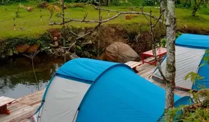 Ada yang Baru Nih di Gunung Mas Puncak Bogor! Camping Pinggir Sungai, Dijamin Bikin Rileks dengan Suara Gemericik Air di Tengah Kebun Teh