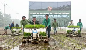 Gerakan Nasional Ketahanan Pangan, Pangkostrad Tanam Perdana Padi di Subang