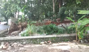 Longsoran TPU Jaranan Cilangkap Depok Makin Panjang, Nih Penampakannya