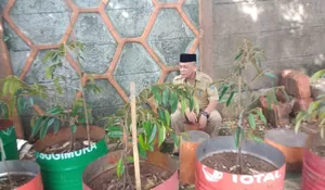 Aparatur Kecamatan Tapos Depok Tanam Pohon Durian : Investasi Jangka Panjang hingga Nikmati Durian Gratis