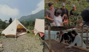 Mau Tau Proses Pengolahan Kopi Secara Langsung? Yuk ke Rawdee Trip and Glamping, Kamu Bisa Belajar dari Awal Tanam Hingga Menjadi Kopi yang Siap Seduh