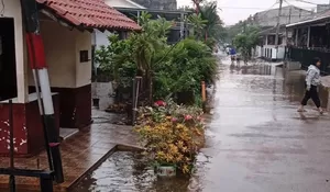 Kelurahan Cisalak Depok Tak Sanggup Atasi Banjir Taman Duta