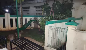 Ternyata Ini Fakta Akses Pondok Pesantren Khoirur Rooziqiin Tertutup, Warga Perumahan Caltex : Tembok Sudah Berdiri Sejak 1970