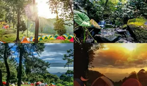 Bisa Bawa Keluarga Besar! Tempat Camping ini Luas Banget Ditambah Suasananya bikin Betah dan Nyaman Banget loh Buat Liburan!