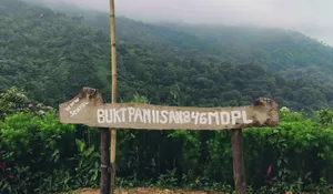 View Kece Ini HTMnya Cuman Rp 10 Ribu! Hiking di Tempat Wisata ini Bisa Nikmati Hamparan Pepohonan Hijau, Lereng Perbukitan, dan Langit Biru