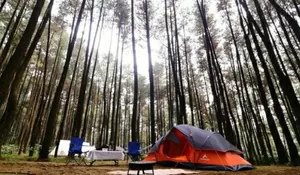 Tempat Wisata ini Asik Parah! Bisa Healing Santai di Kelilingi Hutan Pinus yang Nenangin Banget, Tiket Masuknya juga Cuman Rp 5 Ribu
