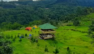 View Tempat Camping ini Seperti di Ubud Bali! Mata Akan Dimanjakan dengan Hamparan Sawah dan Perbukitan Hijau yang Luas