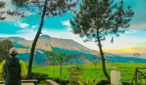 View Tempat Camping ini Nyegerin Mata Abis! Bisa Camping di Hamparan Kebun Teh dan Pegunungan yang Kece ini Cuman Rp 25 Ribu