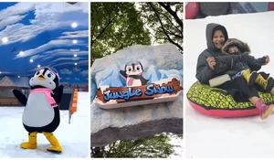 Bogor Rasa Eropa! Sensasi Main Salju Satu-satunya dan Termurah di Jungle Snow Saat Libur Nataru, Promo HTM Cuma Bayar Rp75 Ribu