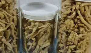 Cemilan yang Bisa Jadi Sajian Saat Lebaran ini Renyah dan Gurih Abis! Kepoin Resep Membuat Kue Bawang di Sini